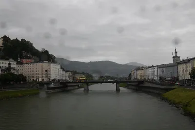 DSC_6163 (Large).JPG